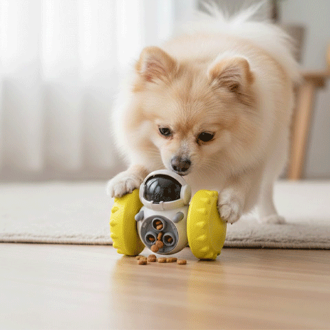 Jouet pour chien gif distributeur friandises
