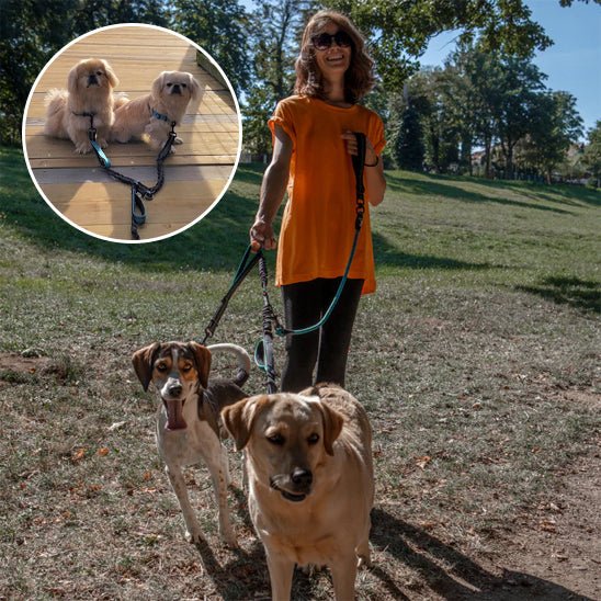 double laisse pour chien|naturlaisse - Jouetstoutou