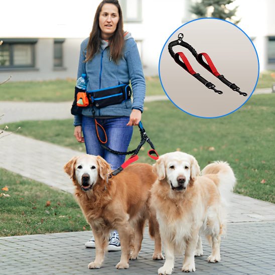 double laisse pour chien|naturlaisse - Jouetstoutou
