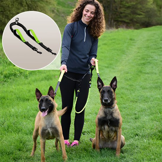 double laisse pour chien|naturlaisse - Jouetstoutou