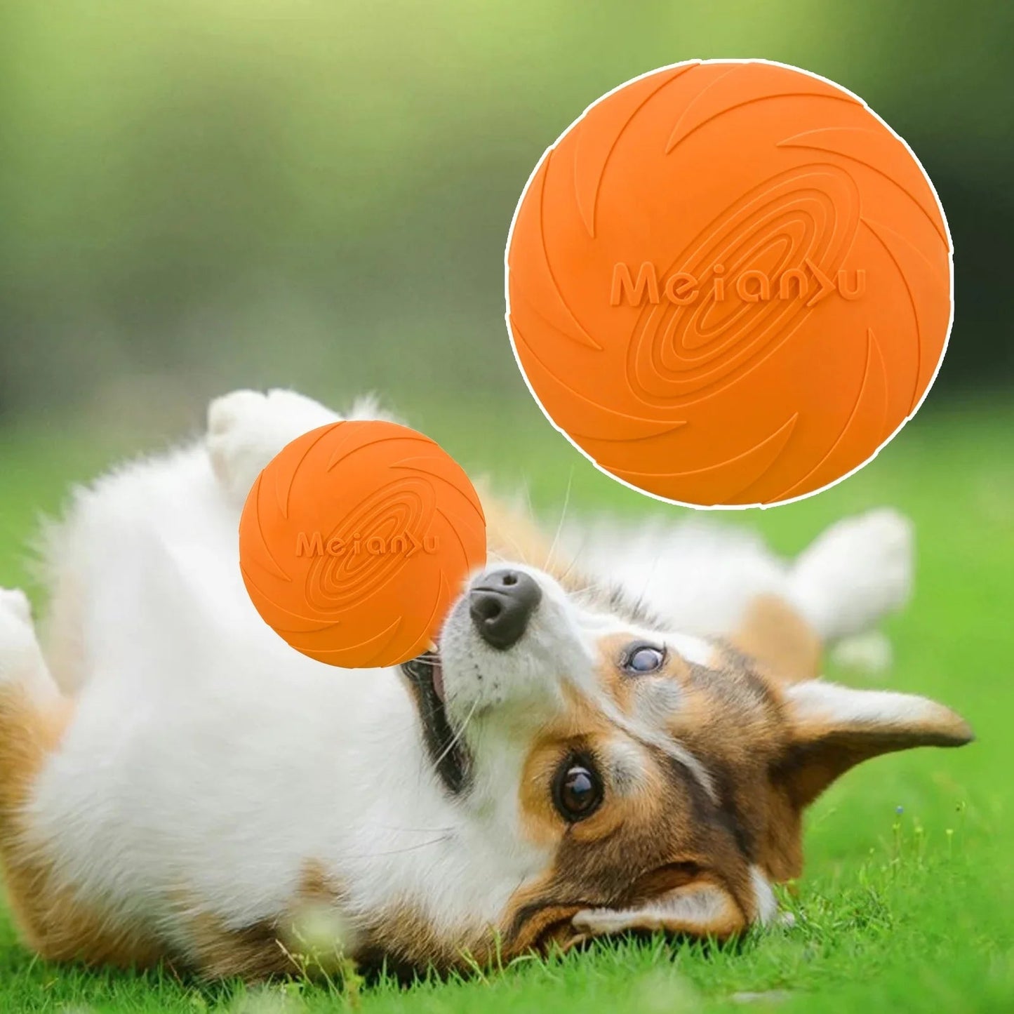 Frisbee Chien FlyDog™ Orange Jouetstoutou heureux
