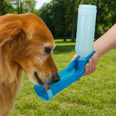 Gourde Portable pour Chien | PawHydrate trĂšs pratique Jouetstoutou
