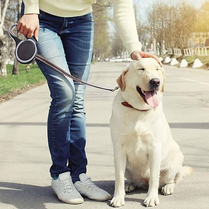 Laisse de chien - MaxLeash™ Noir Jouetstoutou en promenade