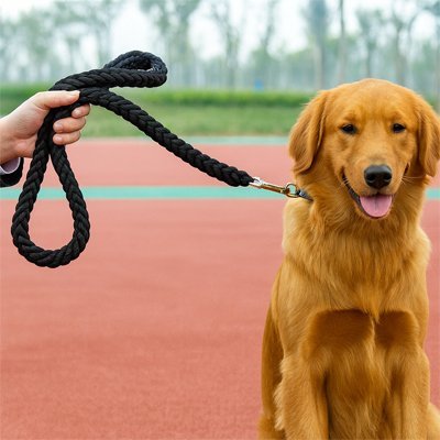 Laisse pour Chien Ergonomique | PawComfort - Jouetstoutou