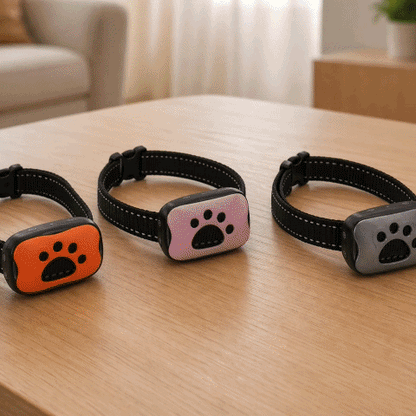 Collier de dressage Chien Education solution gif