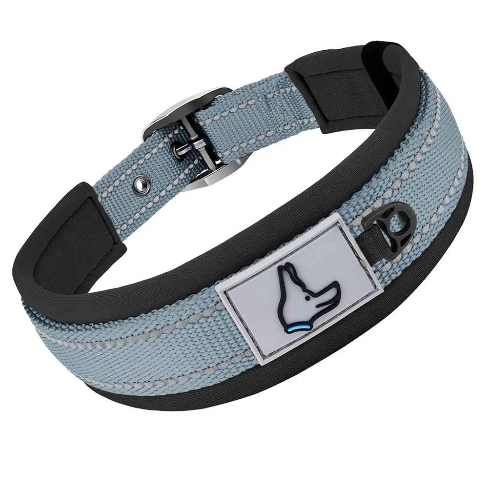 Collier pour Chien gris