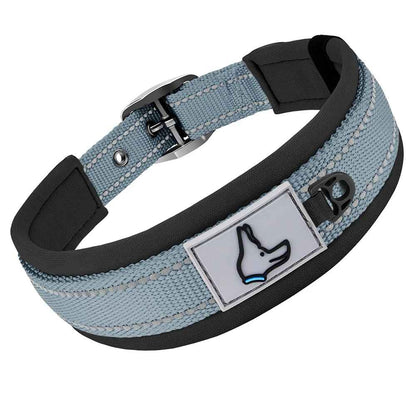 Collier pour Chien gris