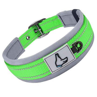 Collier pour Chien vert