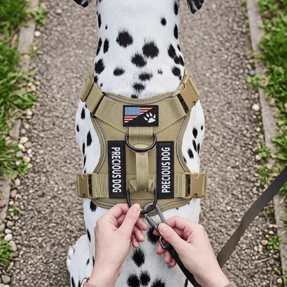 Harnais chien gif video