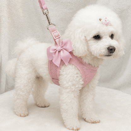 Harnais petit chien gif