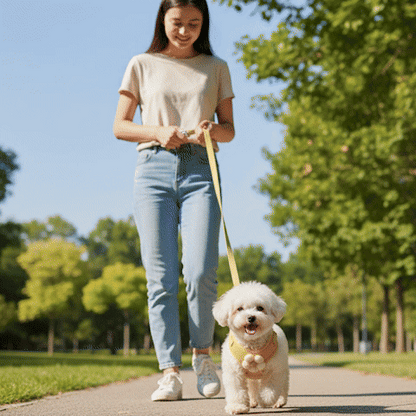 Harnais pour petit Chien gif