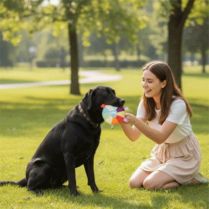 Jouet pour chien gif video 70039c9a 54a2 4642 9d0a c6ff92ab36e5