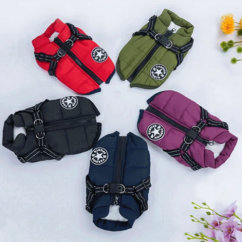 Manteau Matelasse Chien gif