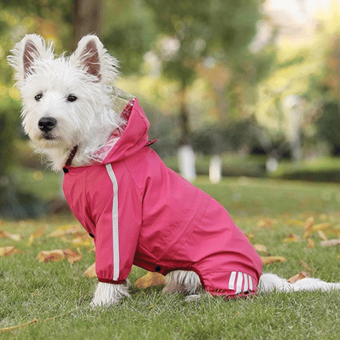 Manteaux pour chien impermeable reflechissant rouge gif
