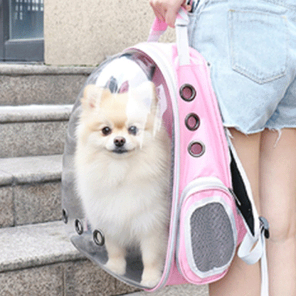 Sac à dos Chien | Ergonomique