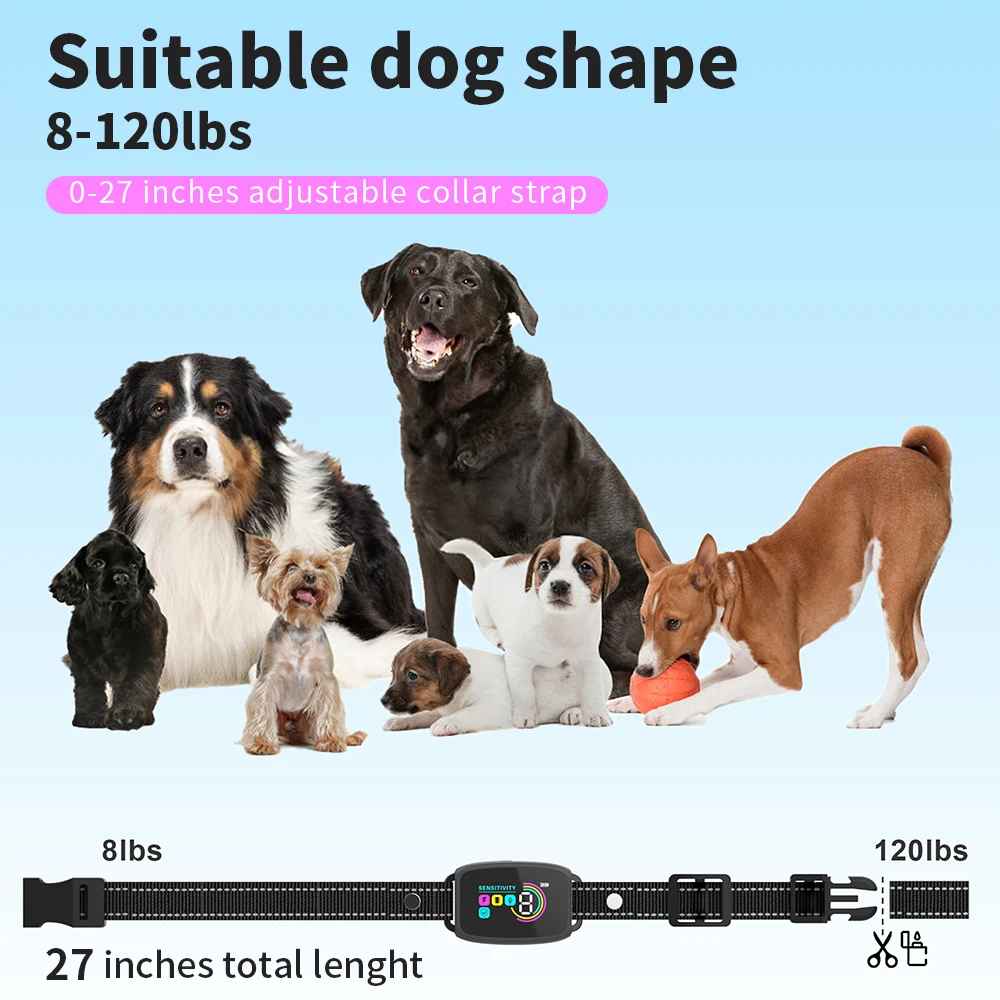 chien collier de dressage|collierdog - Jouetstoutou