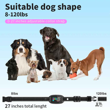 chien collier de dressage|collierdog - Jouetstoutou