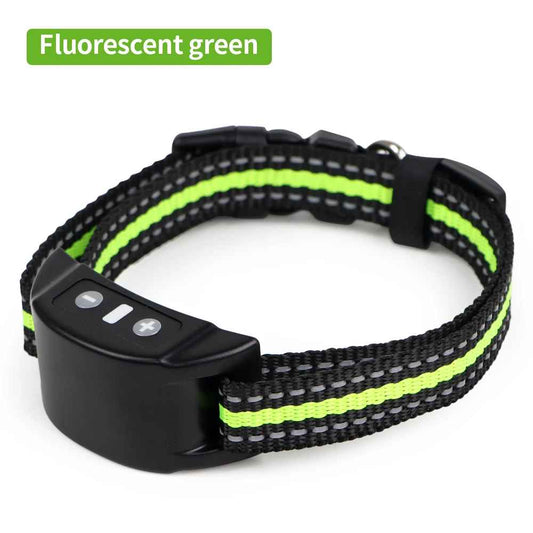 chien collier dressage |collierantiaboiement - Jouetstoutou