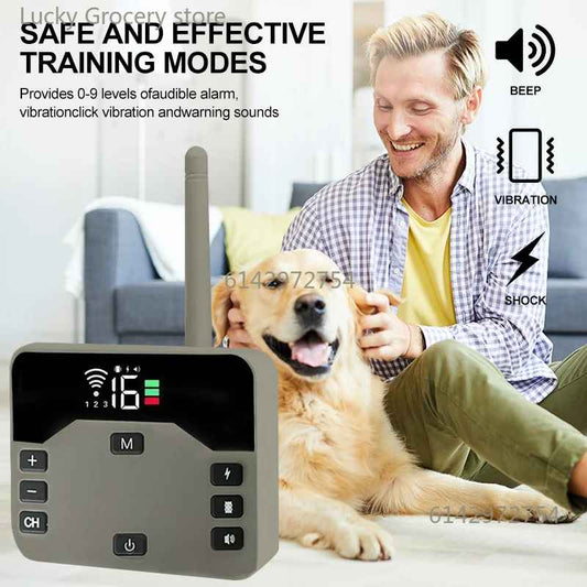 Collier Anti - Fugue pour Chien 2 - en - 1 | DressSecure - Jouetstoutou