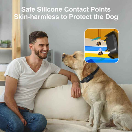 Collier Anti Fugues Chien Sans Fil | Sécuri - Jardin - Jouetstoutou