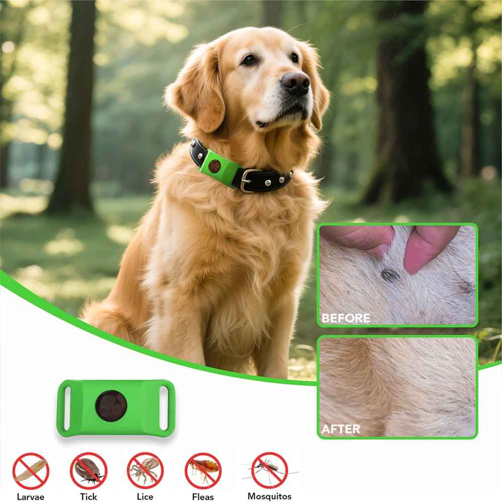 Collier Anti Puces pour Chiens | Naturel Imperméable - Jouetstoutou