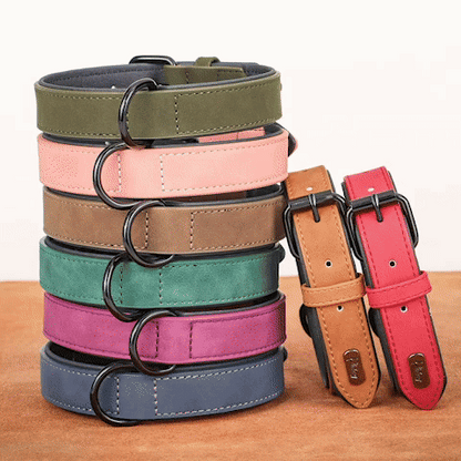 collier chien en cuir giff