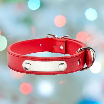 Collier chien - LeatherDogCollar™ - Rouge - Jouetstoutou