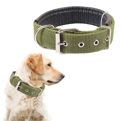 collier chien|necklacedog - Jouetstoutou