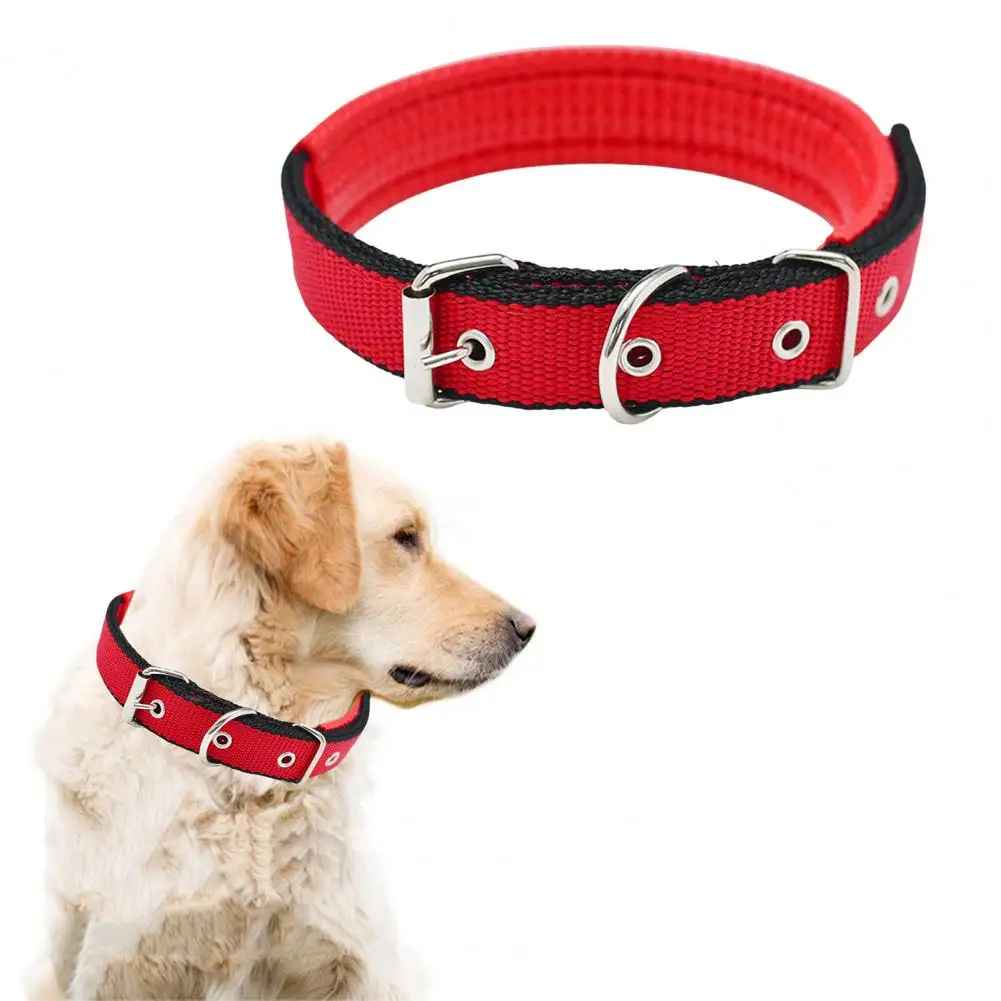 collier chien|necklacedog - Jouetstoutou