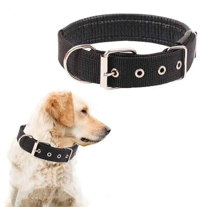 collier chien|necklacedog - Jouetstoutou