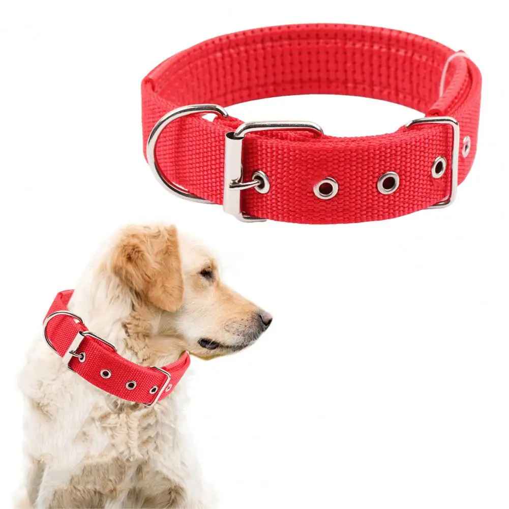 collier chien|necklacedog - Jouetstoutou