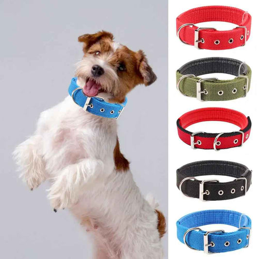 collier chien|necklacedog - Jouetstoutou