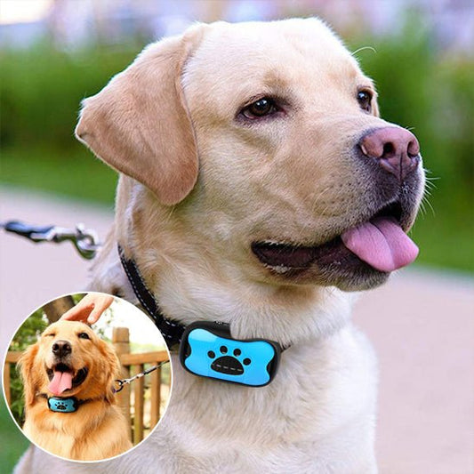 collier de dressage pour chien |barkcollar - Jouetstoutou