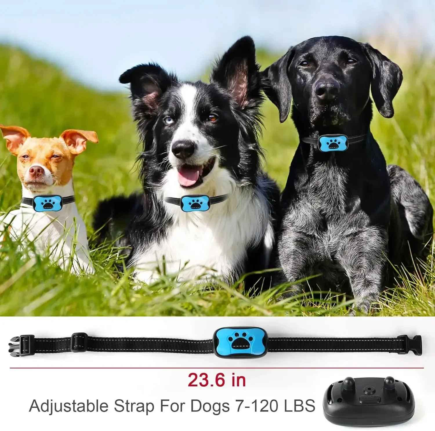 collier de dressage pour chien |barkcollar - Jouetstoutou
