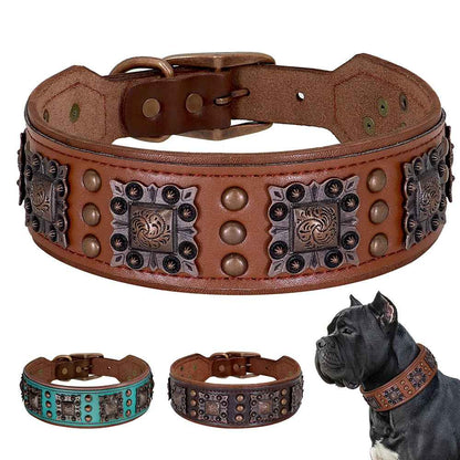 collier en cuir pour chien |colliercuir - Jouetstoutou