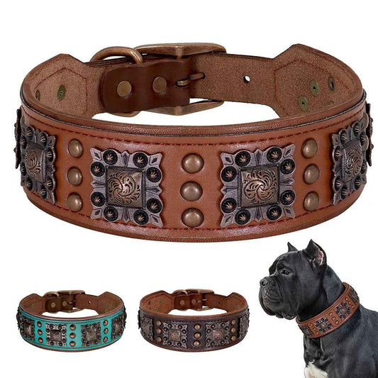 collier en cuir pour chien |colliercuir - Jouetstoutou