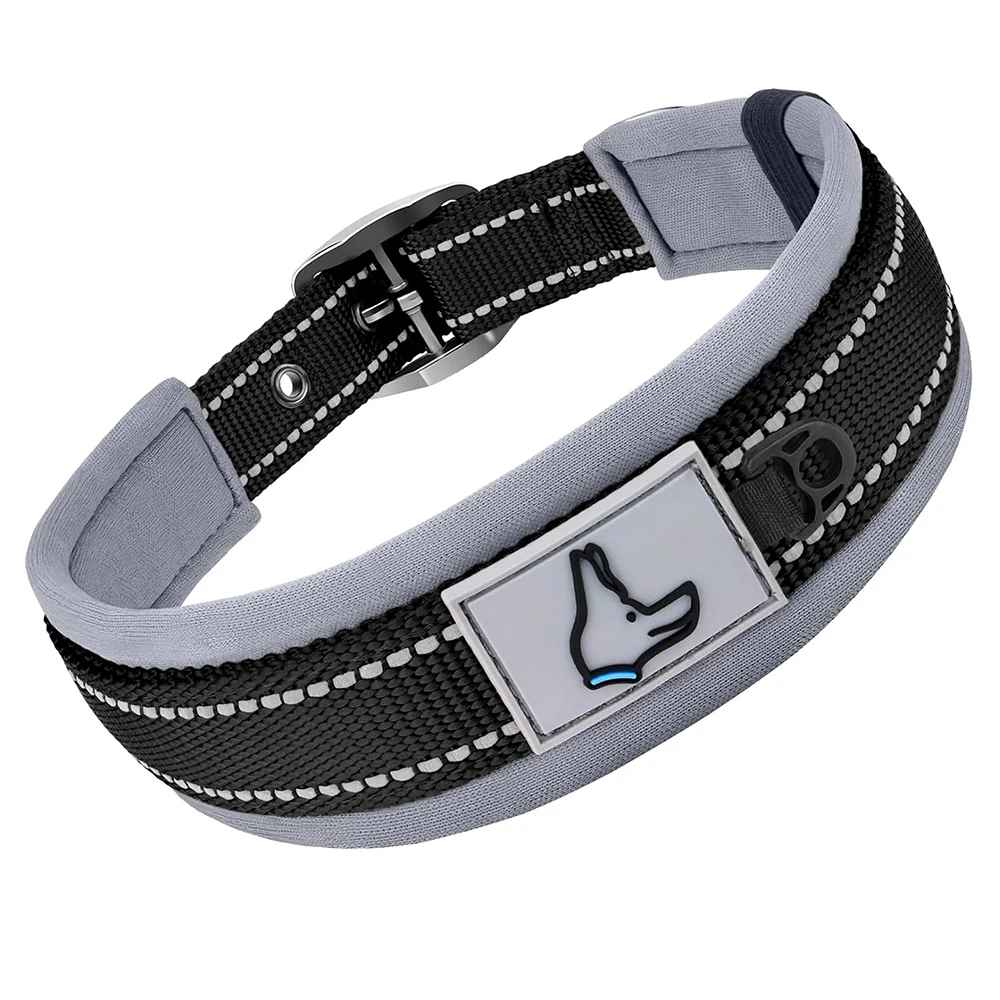 Collier pour Chien | Confort Résistant - Jouetstoutou