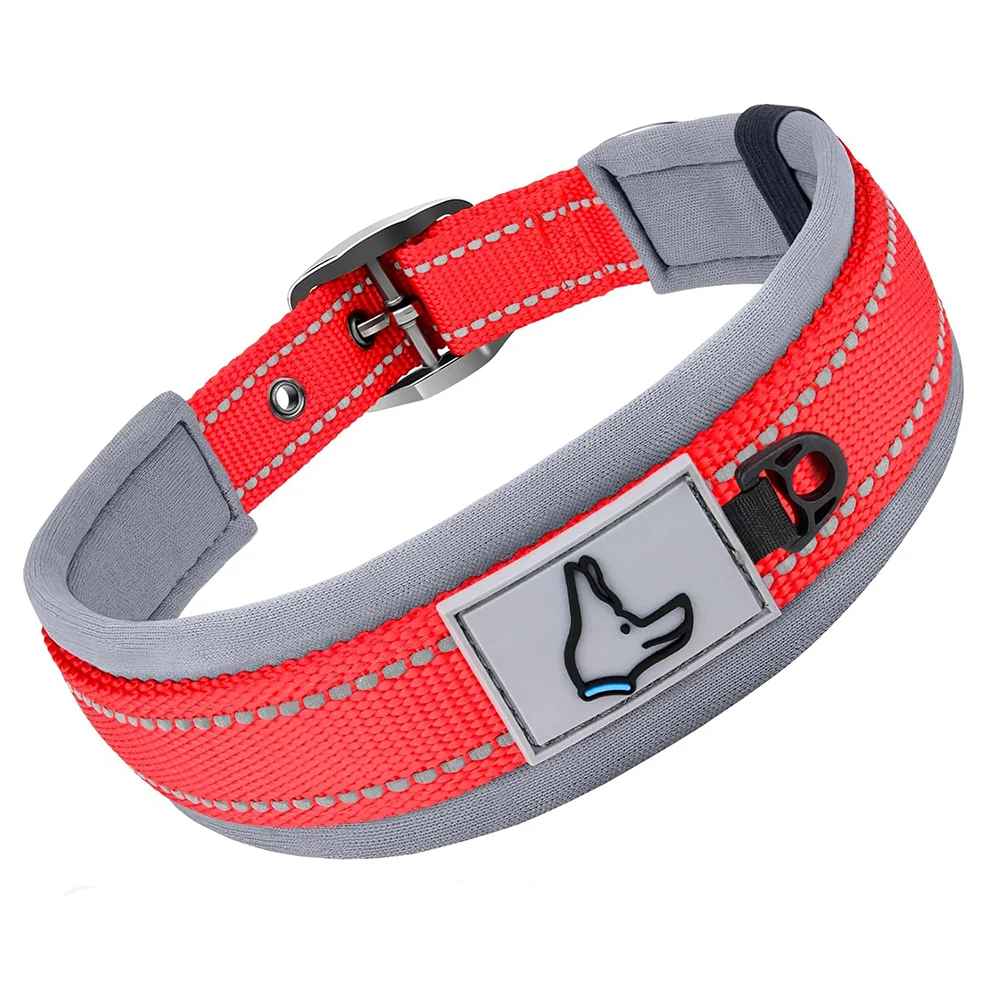 Collier pour Chien | Confort Résistant - Jouetstoutou