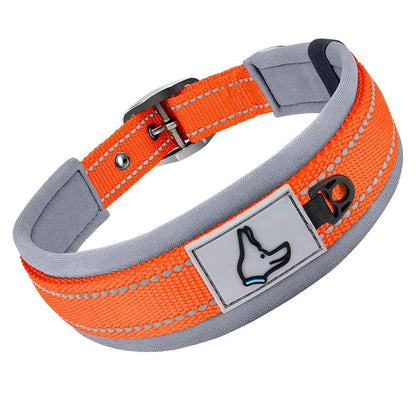 Collier pour Chien | Confort Résistant - Jouetstoutou
