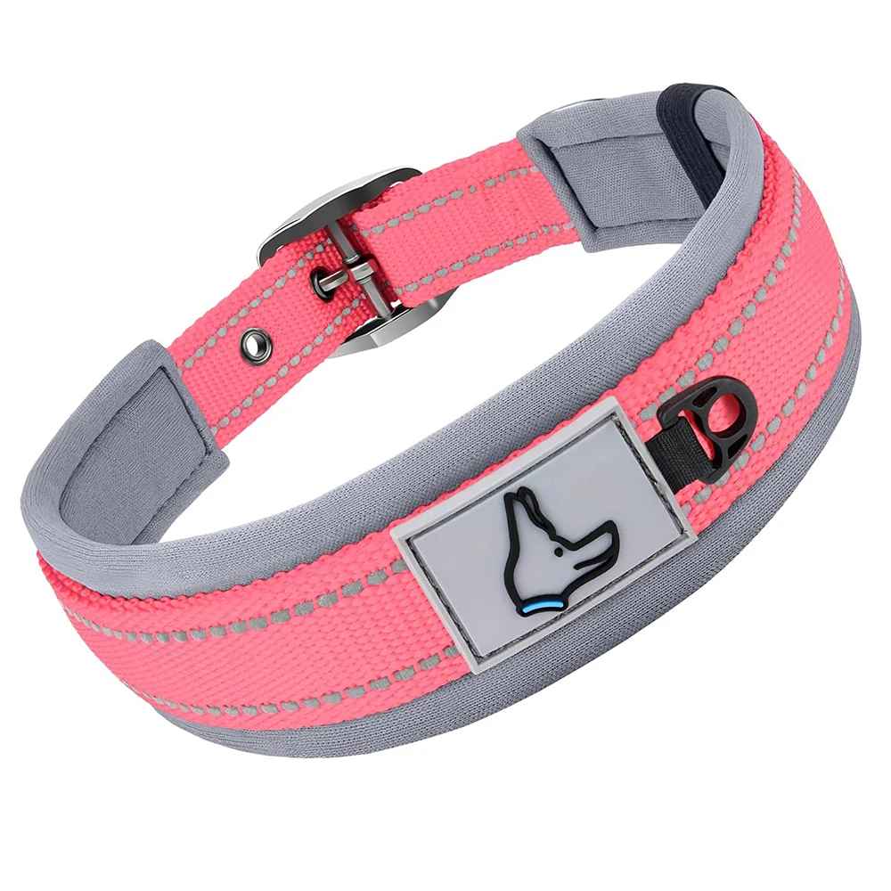 Collier pour Chien | Confort Résistant - Jouetstoutou
