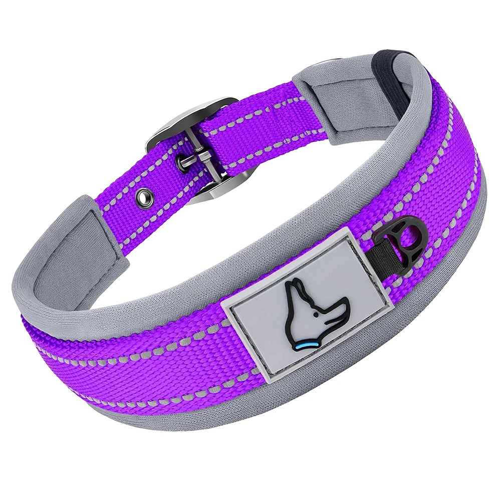 Collier pour Chien | Confort Résistant - Jouetstoutou