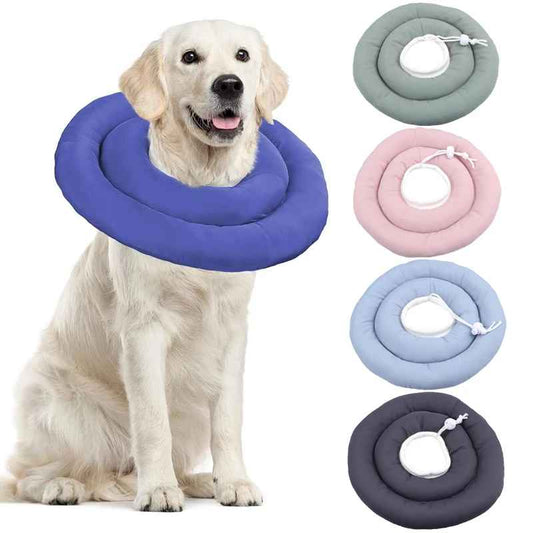 collier pour chien|Isabellanecklace - Jouetstoutou
