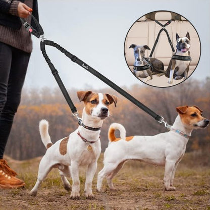 Double Laisse pour Chien | PetFreedom - Jouetstoutou