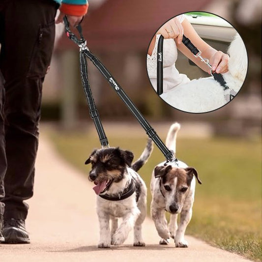 Double Laisse pour Chien | PetFreedom - Jouetstoutou