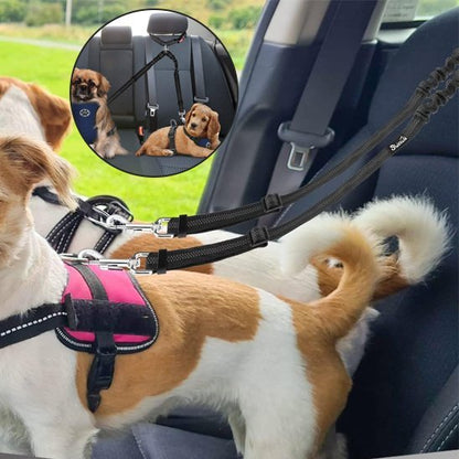 Double Laisse pour Chien | PetFreedom - Jouetstoutou