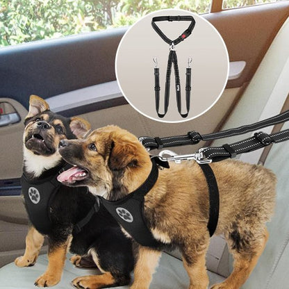 Double Laisse pour Chien | PetFreedom - Jouetstoutou