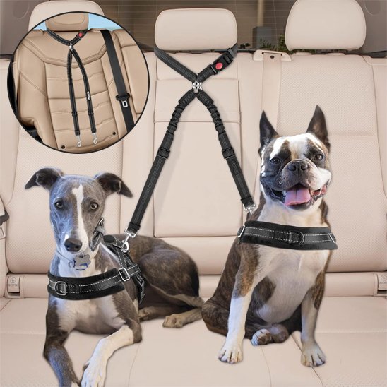 Double Laisse pour Chien | PetFreedom - Jouetstoutou