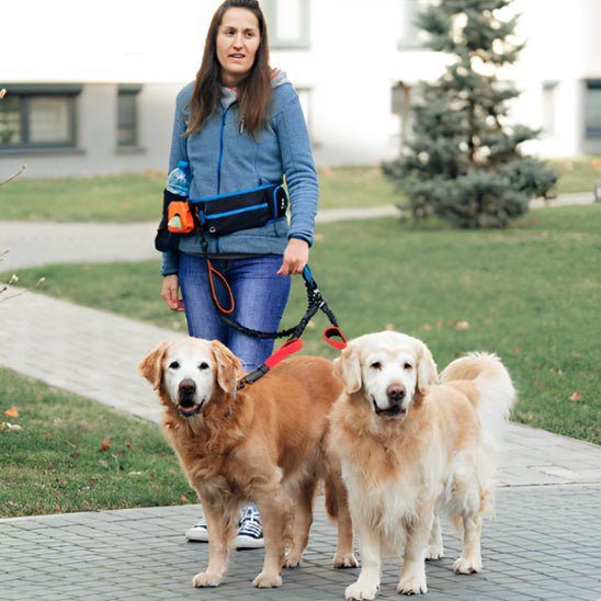 double laisse pour chien|naturlaisse - Jouetstoutou