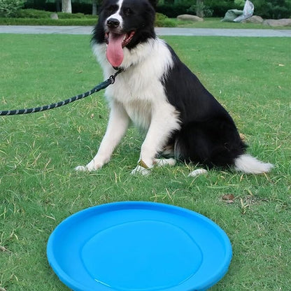 Frisbee Chien   FlyDog™   Bleu   Jouetstoutou dans un parc