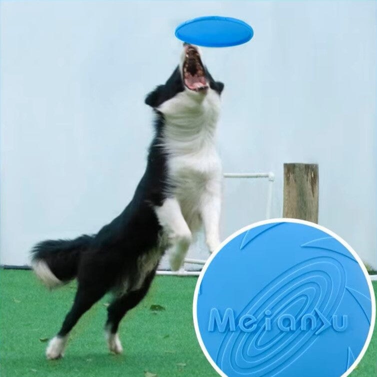Frisbee Chien   FlyDog™   Bleu   Jouetstoutou en action
